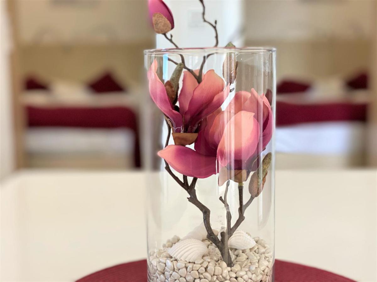 Villa M - Your Business & Holiday Apartment In シベニク エクステリア 写真